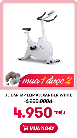 Xe đạp tập ELIP Alexander White