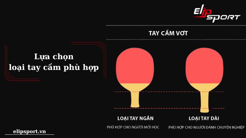 Các loại cán vợt bóng bàn phổ biến