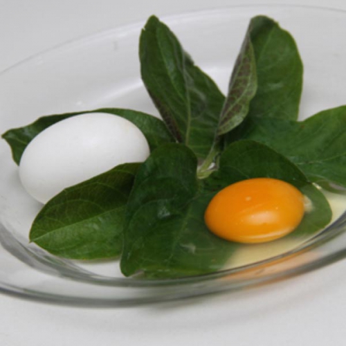 Cách làm bọc lá chuối nướng với lá mơ và trứng gà để chín đều là gì?
