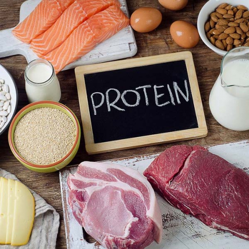 Giải thích protein thô là gì và cách bổ sung protein thô cho cơ thể