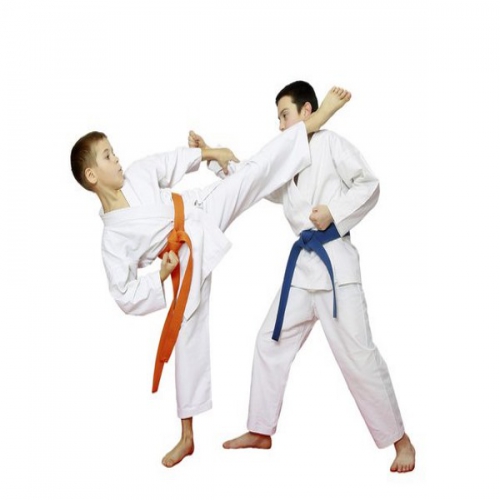 Nao nhau cho vs karate khac taekwondo Taekwondo