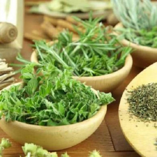 Những Loại Thuốc Nam Trị Tim Mạch Xung Quanh Chúng Ta
