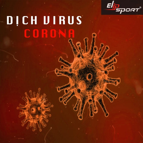 CEO Elipsport: Kêu Gọi Người Dân Tăng Cường Sức Đề Kháng Chống Chọi  Virus Corona Bằng Cách Tập Thể Dục Tại Nhà