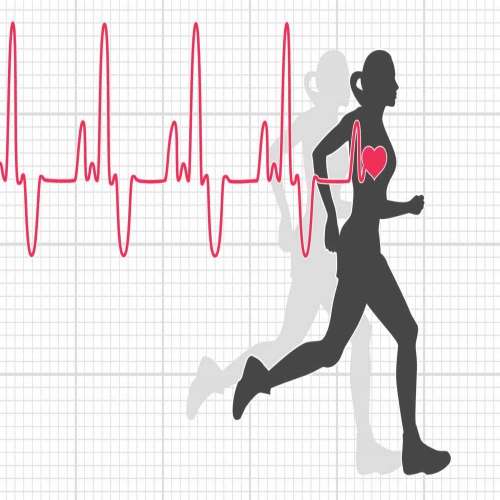 Nhịp tim chuẩn của người bình thường là bao nhiêu?