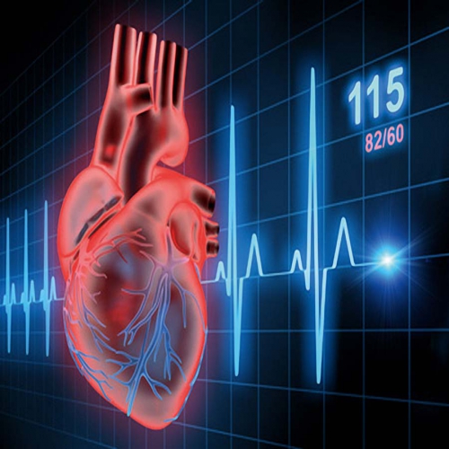 Tìm hiểu nhịp tim là gì và công thức cách tính nhịp tim tối đa