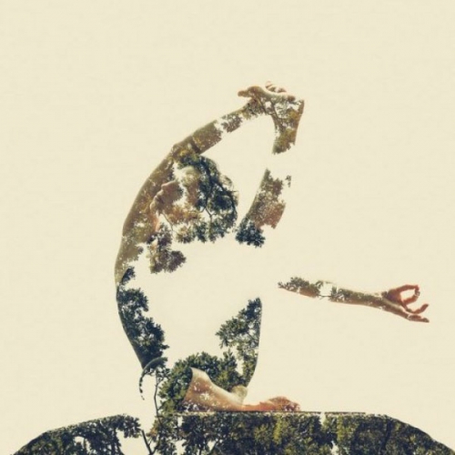 Yogi Là Gì? Người Tập Yoga Như Thế Nào Được Gọi Là Yogi?