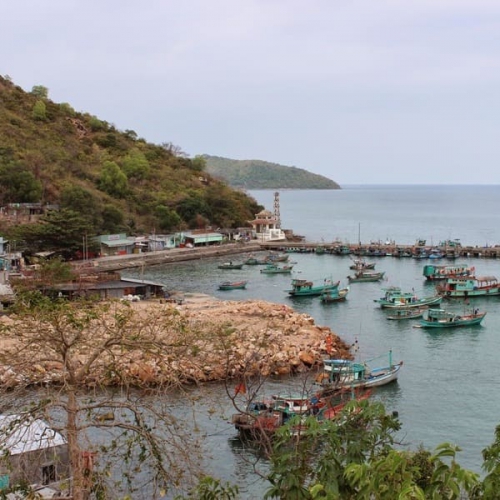 Tài nguyên thiên nhiên của Việt Nam là gì và sự ảnh hưởng của chúng?