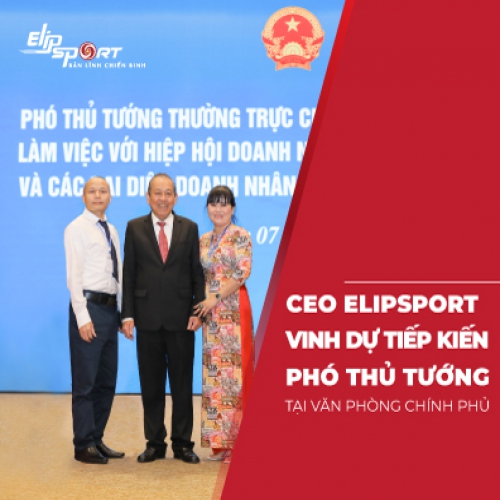 Bản tin Elipspeed Số 3: CEO Elipsport gặp Phó thủ tướng Trương Hòa Bình tại VPCP