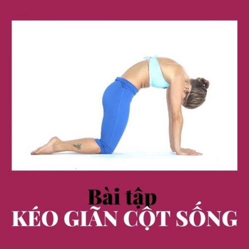 Bài tập kéo giãn cột sống trong yoga phù hợp với những người bị đau lưng?
