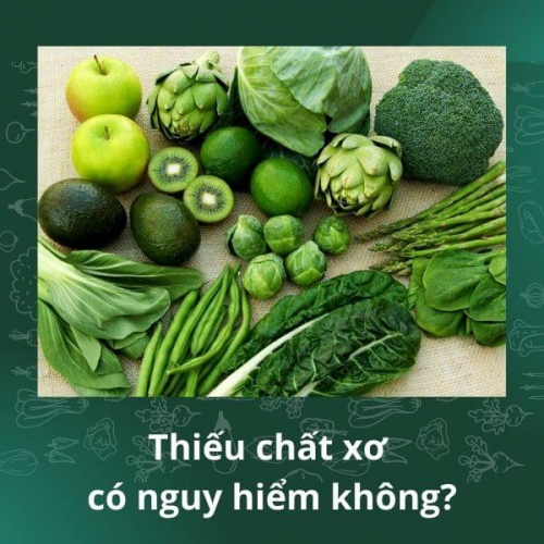 Thiếu chất xơ sẽ bị bệnh gì? Tác dụng của chất xơ