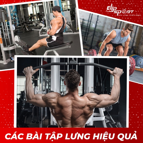 30+ bài tập lưng xô tại phòng gym hiệu quả nhất lộ rõ cơ lưng