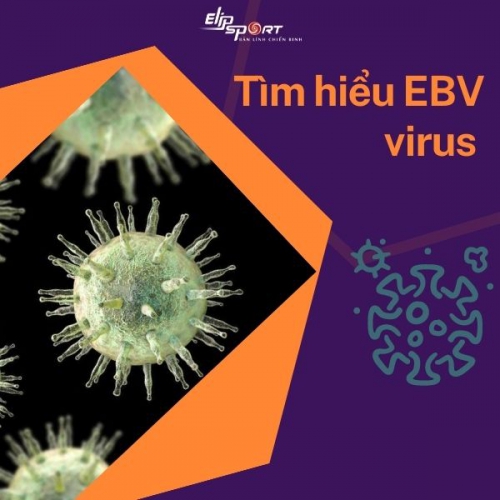 EBV virus gây bệnh gì? Nguyên nhân gây lây nhiễm EBV?