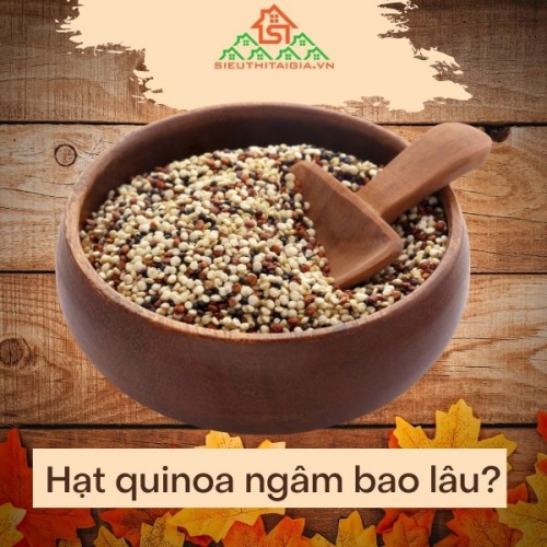 Hạt quinoa ngâm bao lâu? Cách nấu cháo hạt quinoa cho bé