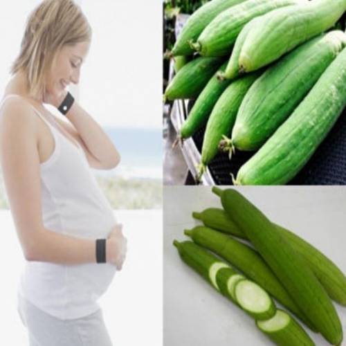 Có bầu ăn mướp được không? - Giải đáp của chuyên gia