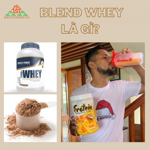 Whey blend là gì? Protein blend là gì? Lợi ích và tác dụng phụ của Whey blend