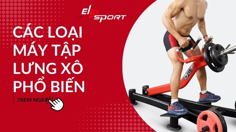  7 loại máy tập lưng xô phổ biến và các bài tập kéo lưng xô hiệu quả nhất 
