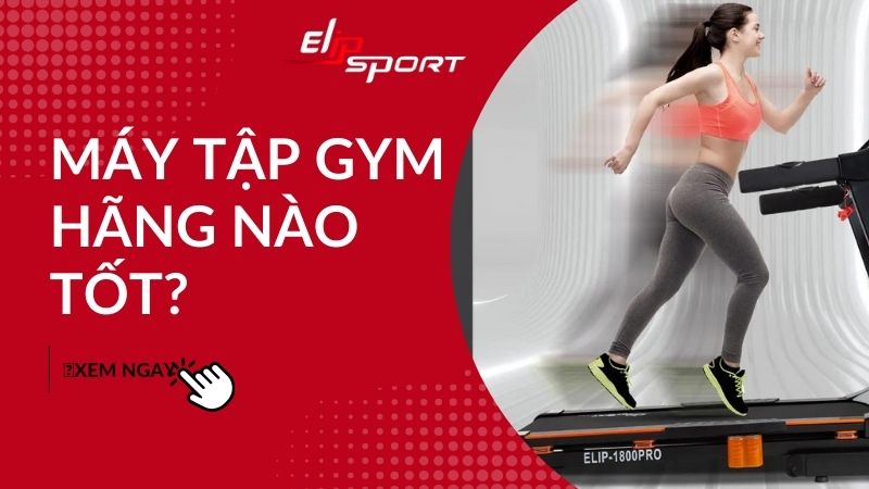 Top 10 thương hiệu máy tập gym Việt Nam nổi tiếng nhất