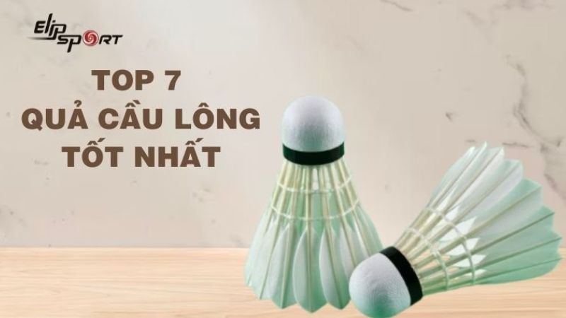 TOP 7 quả cầu lông tốt nhất, được các vợt thủ yêu thích hiện nay