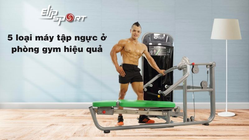 5 loại máy tập ngực ở phòng gym hiệu quả, phổ biến 2024