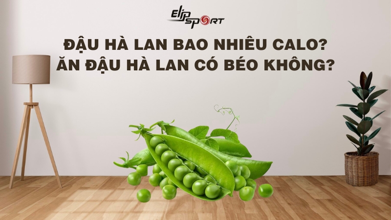 Đậu Hà Lan bao nhiêu calo? Ăn đậu Hà Lan có béo không? Giảm cân không?