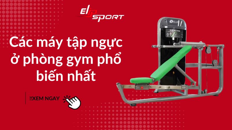 Các máy tập ngực ở phòng gym phổ biến nhất 2024