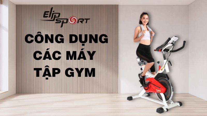 Top 12 loại máy và công dụng các máy tập gym bạn nên biết