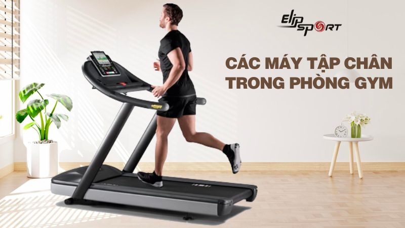 Các máy tập chân trong phòng gym hiệu quả nhất