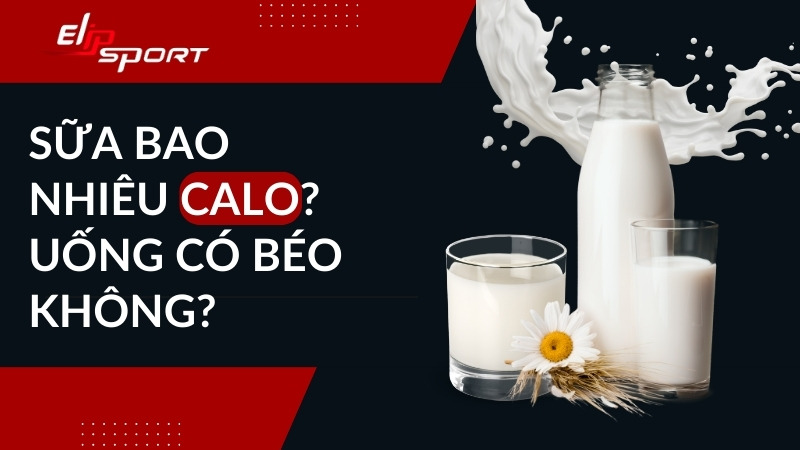 Sữa bao nhiêu calo? Uống có béo không, giảm cân có nên uống?