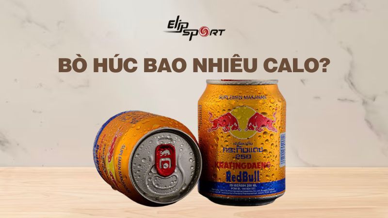 Bò húc bao nhiêu calo? Uống bò húc nhiều có tốt không?