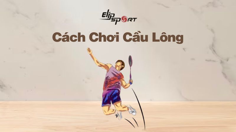 Hướng dẫn cách chơi cầu lông đúng kỹ thuật từ cơ bản đến nâng cao