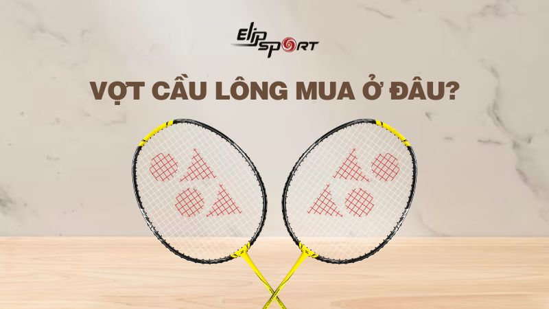 Vợt cầu lông mua ở đâu? Top 14 cửa hàng bán vợt uy tín, chất lượng 