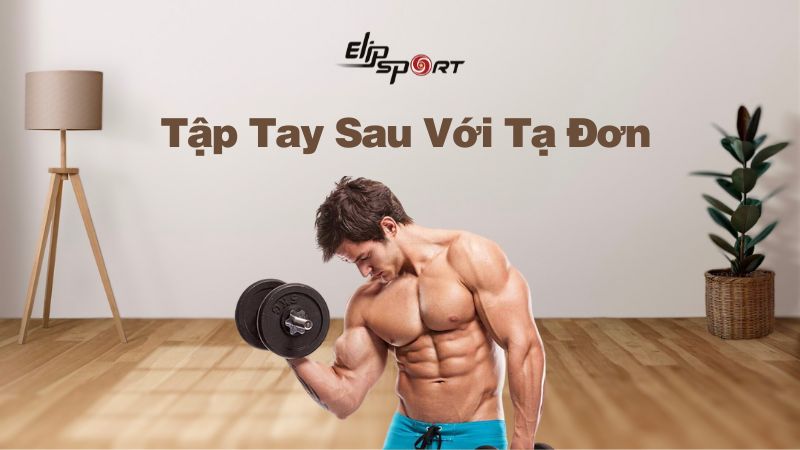 11 Bài Tập Tay Sau Với Tạ Đơn Giúp Cải Thiện Cơ Bắp Hiệu Quả Nhất