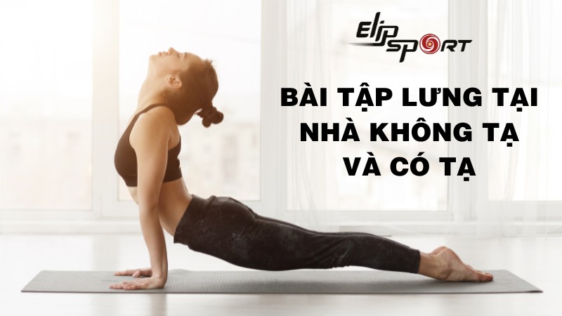 19 bài tập lưng tại nhà không tạ và có tạ cho người mới bắt đầu