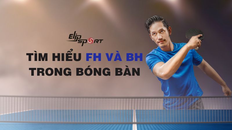  Nghĩa FH và BH trong bóng bàn là gì? Ý nghĩa thuật ngữ trong bóng bàn