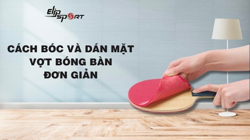 Hướng dẫn cách bóc và dán mặt vợt bóng bàn đơn giản ngay tại nhà