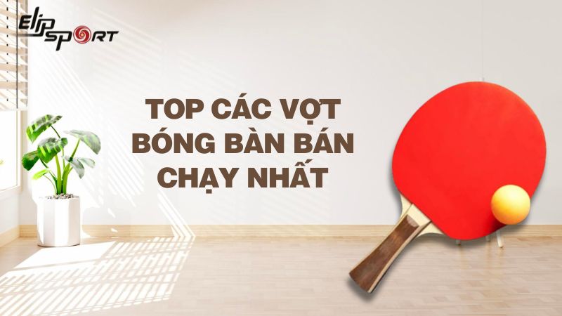 Top 5 vợt bóng bàn bán chạy nhất hiện nay và cách chọn vợt phù hợp