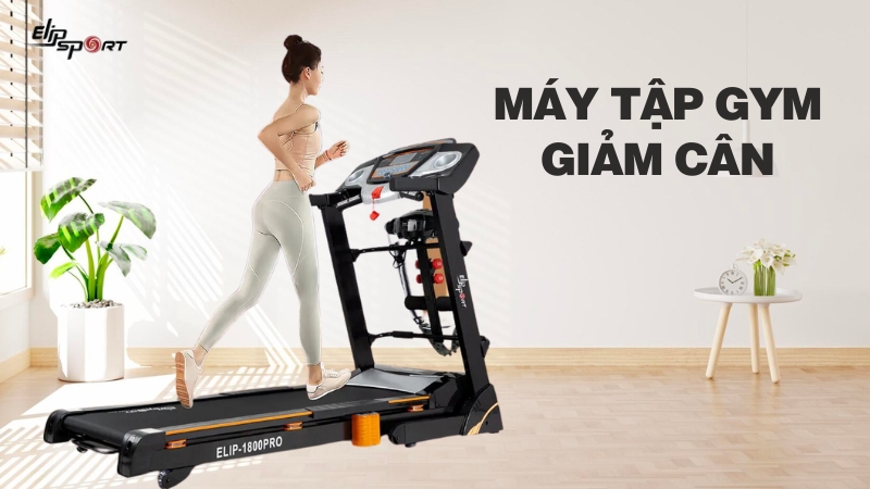 Top 7 máy tập gym giúp giảm cân hiệu quả, đốt tan mỡ thừa