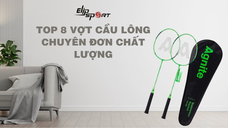 Top 8 vợt cầu lông chuyên đơn chất lượng, đáng sở hữu năm 2024