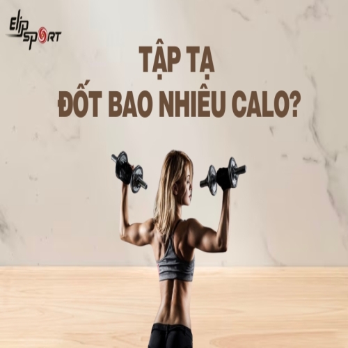 Tập tạ đốt cháy bao nhiêu calo? Các lợi ích của tập tạ