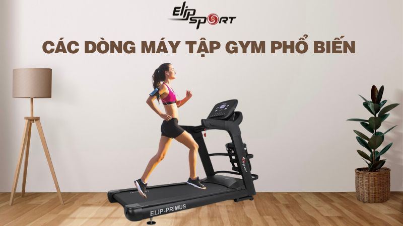 Các dòng máy tập gym phổ biến tại phòng tập thể hình hiện nay