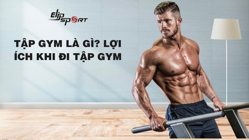 Tập gym là gì? Lợi ích và những điều cần chuẩn bị khi đi tập gym