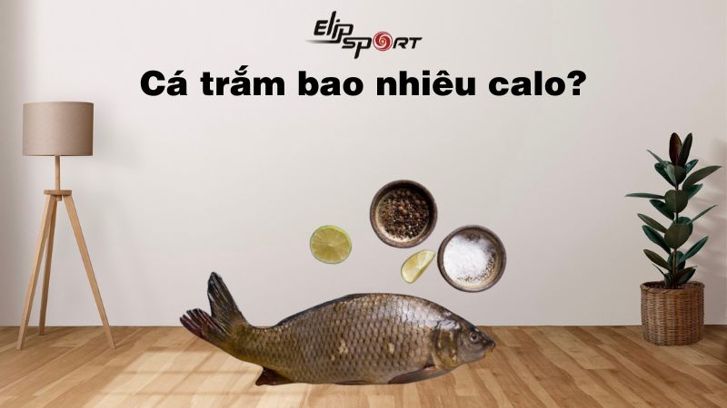 Cá trắm bao nhiêu calo? Ăn có béo không? Lưu ý khi ăn