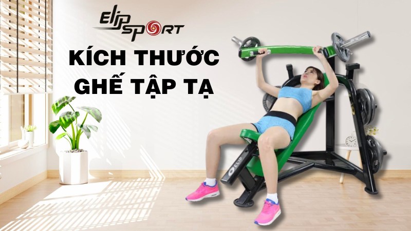 Kích thước ghế tập tạ đa năng, tự chế và tiêu chuẩn chính xác 