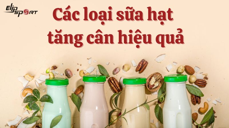 Top 11 sữa hạt tăng cân cho người gầy vừa ngon vừa hiệu quả