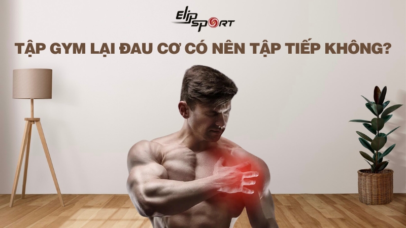 Tập gym lại đau cơ có nên tập tiếp không? Cách giảm tình trạng đau cơ