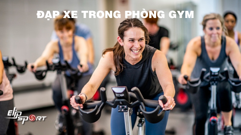 Đạp xe trong phòng gym có tác dụng gì? 3 mẫu xe được yêu thích tại Elipsport