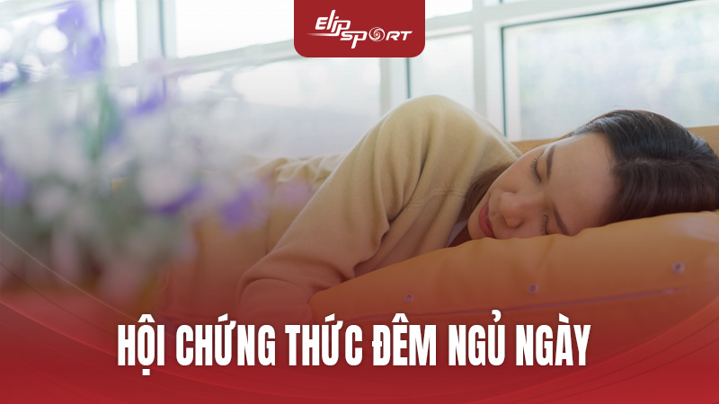 Hội Chứng Thức Đêm Ngủ Ngày: Nguyên Nhân, Tác Hại Và Cách Điều Trị Hiệu Quả Cùng ElipSport