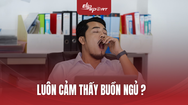 Luôn Cảm Thấy Buồn Ngủ? Nguyên Nhân Và Cách Khắc Phục Hiệu Quả Từ Chuyên Gia ElipSport