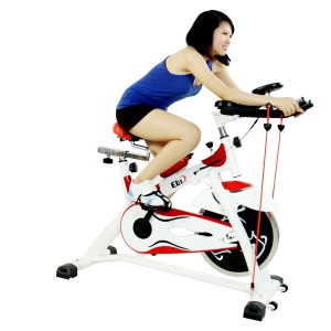 Xe đạp tập Elip L008