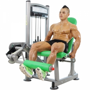 Máy tập đá đùi Elip AC038